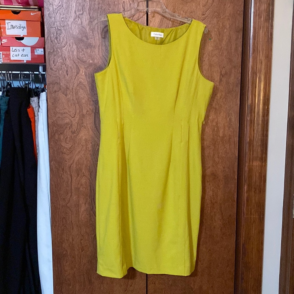 Pea Green Calvin Klein Dress